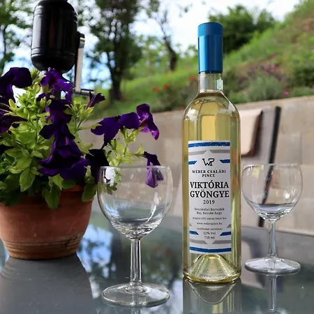 Szoloskert Vendeghaz Guest house 3*