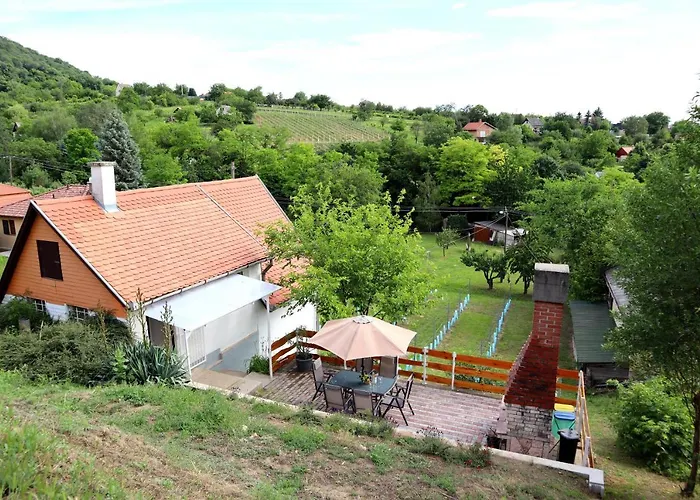 Szoloskert Vendeghaz Гостевой дом Baj
